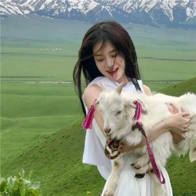 落潮录事纪海报